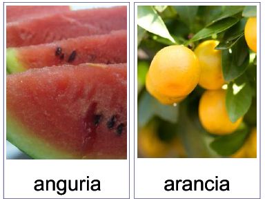 Carte tematiche: la Frutta e la frutta secca